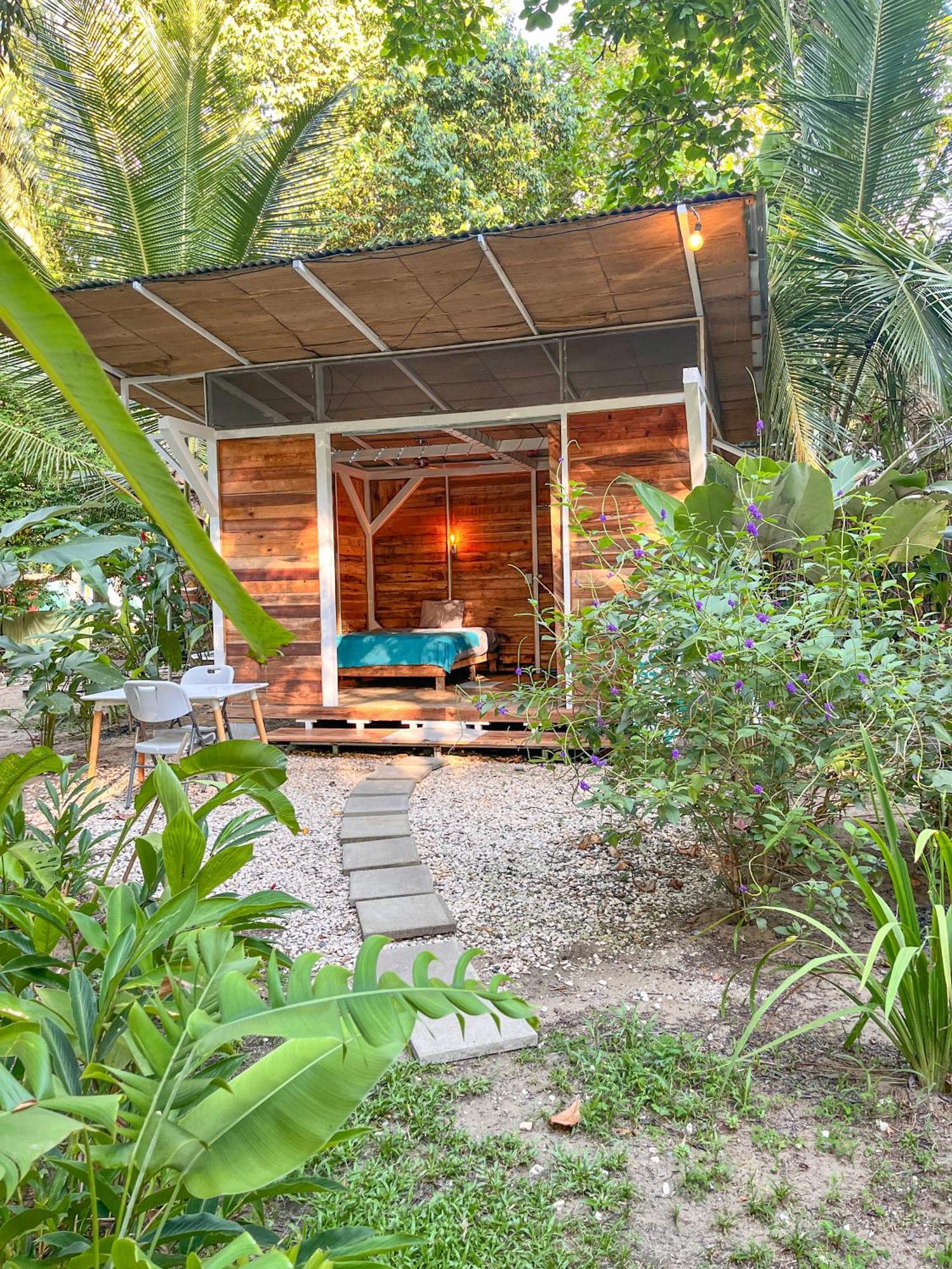 Nomadic Surf Camp Hostel Uvita Ngoại thất bức ảnh